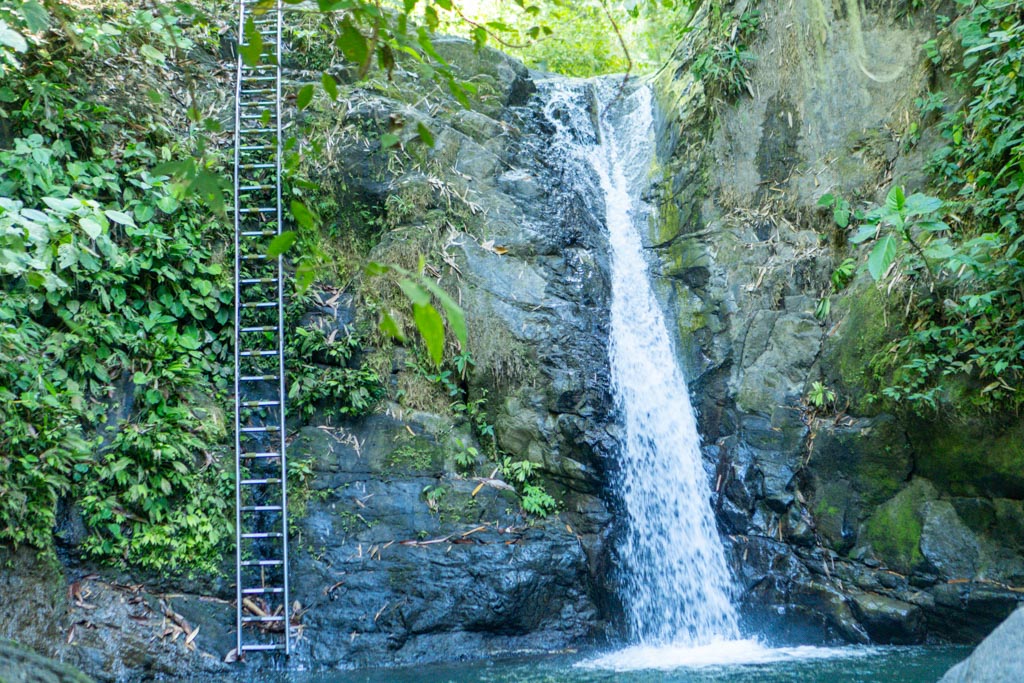 Happy traveler in nature